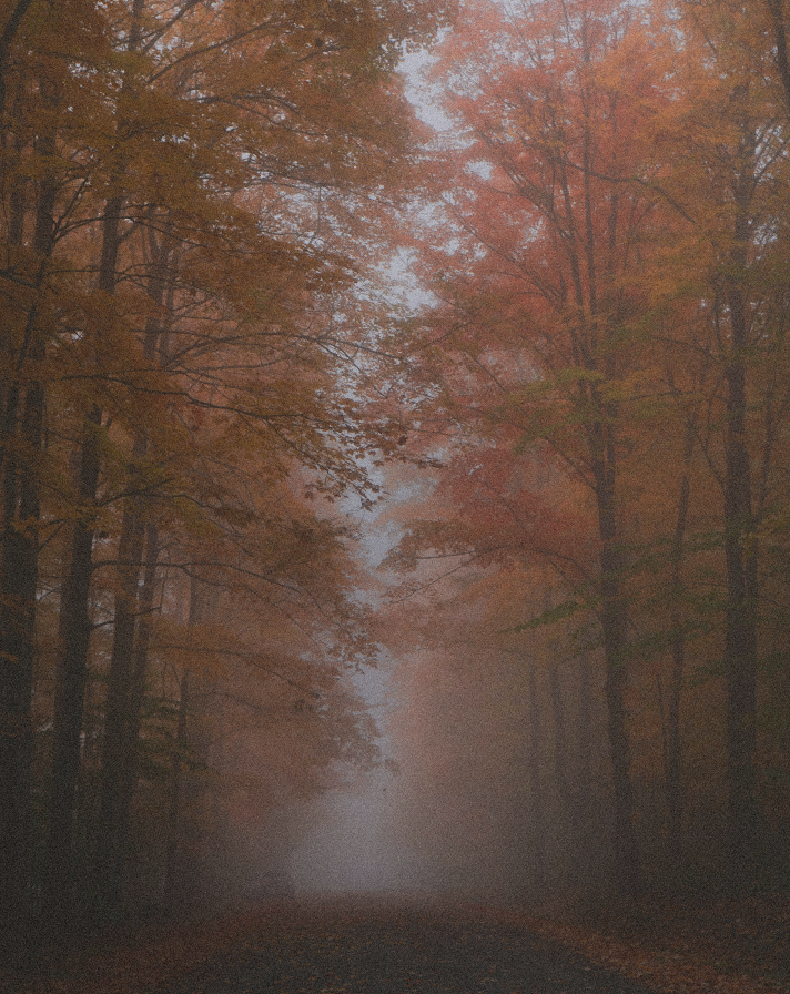 Placedness-0-5x