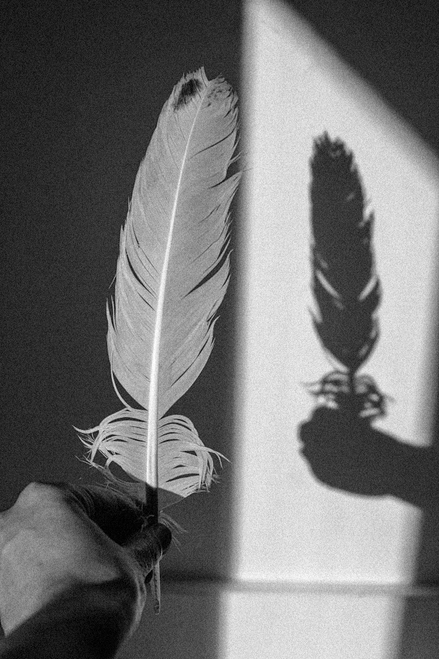 jas-min-C0wx1odXyAc-unsplash (2)