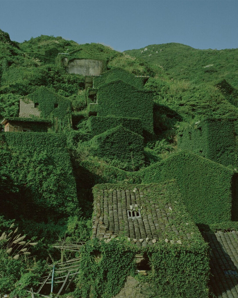 A village overgrown with green ivy, reclaimed by nature