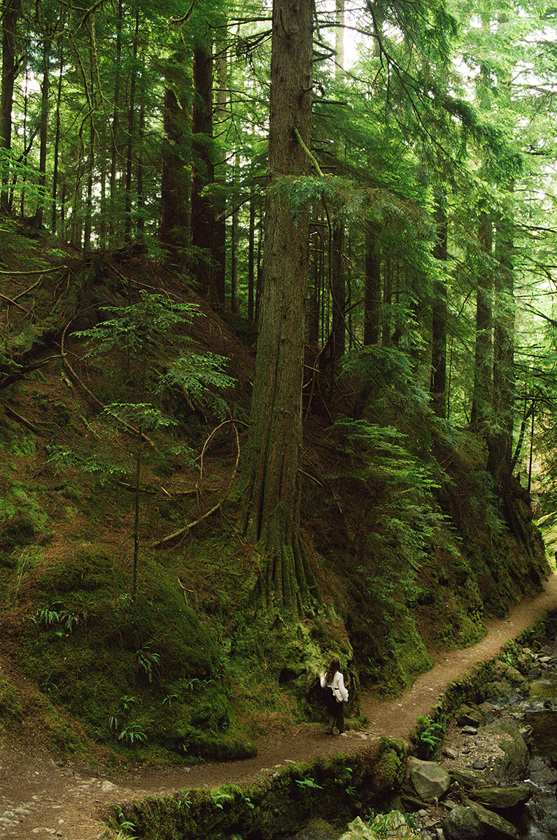 Niels Devisscher 2025, Fairy walk copy 2