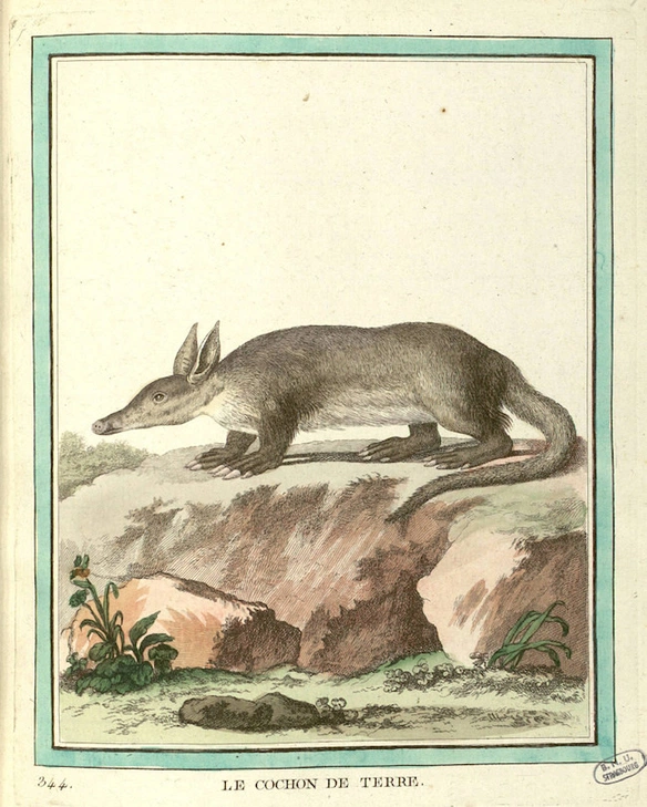 1bfc5f21-10fd-4663-80c1-54f1c58005de