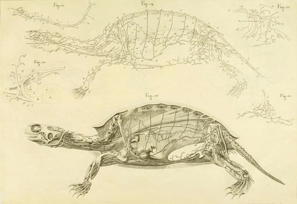 47a5a21c-d3ae-43b0-8393-463df9b93d2b