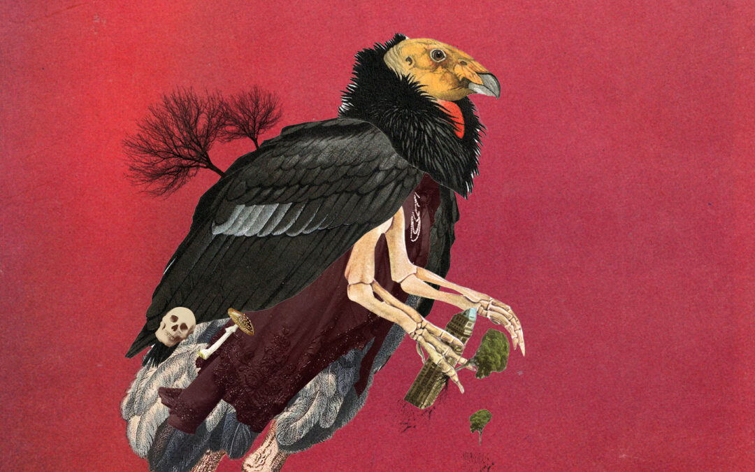 Meeting Monsters with Tom Hirons & Niels Devisscher