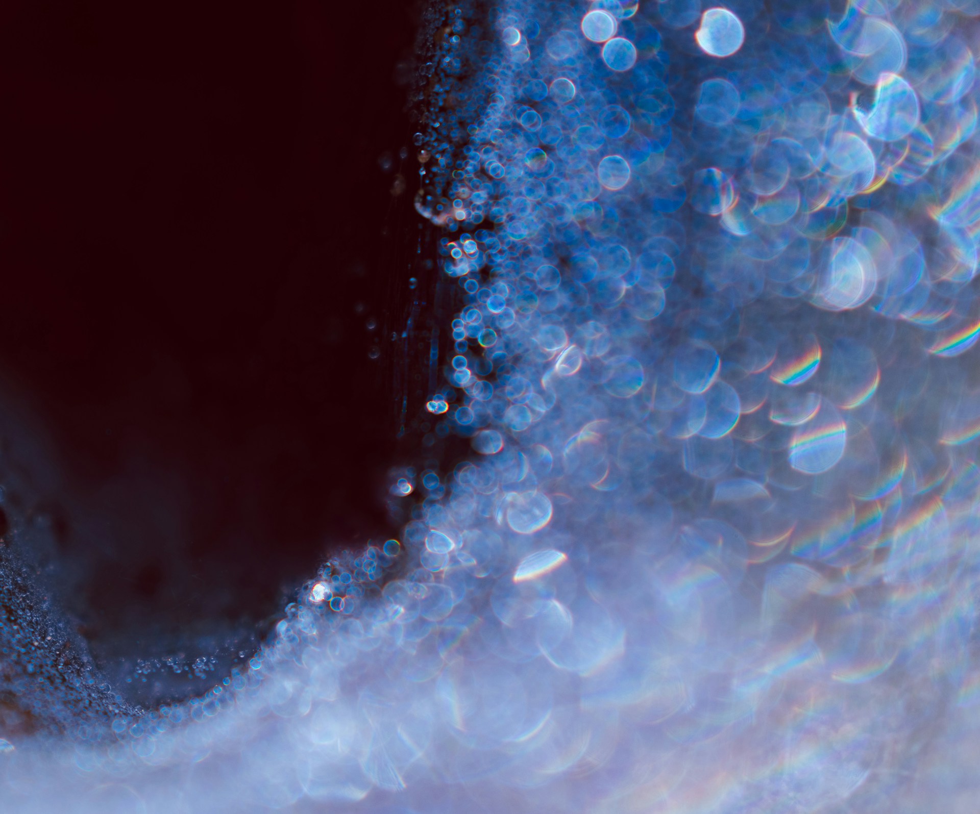 mohammad-alizade-sxSNs6u1BNY-unsplash