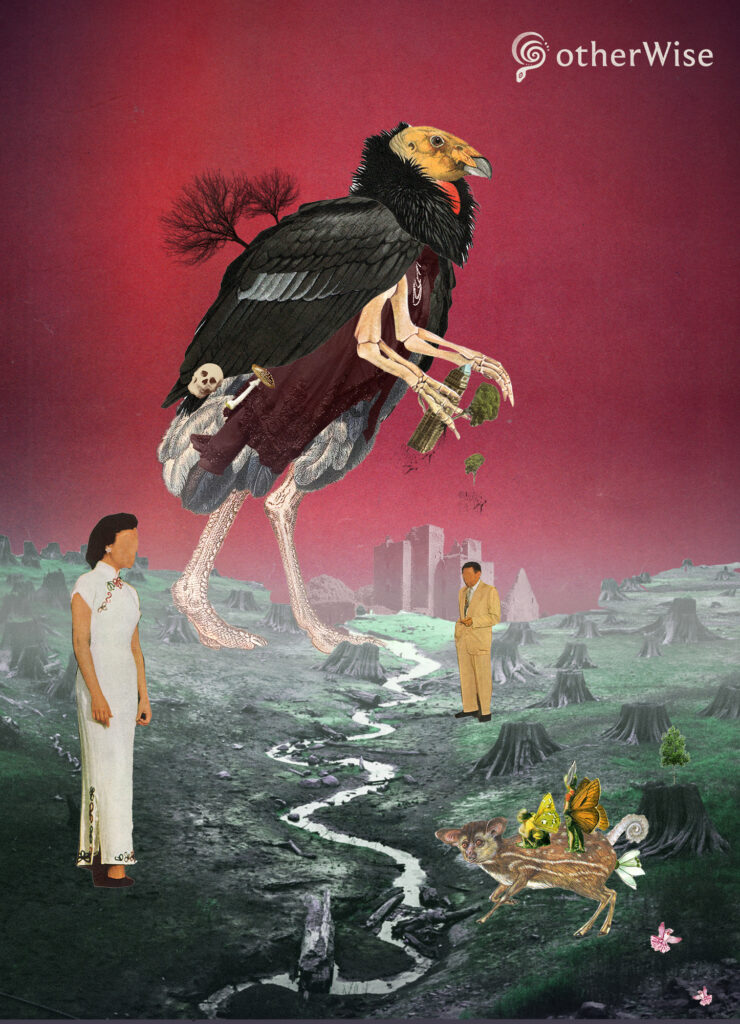 supernatural theme collage