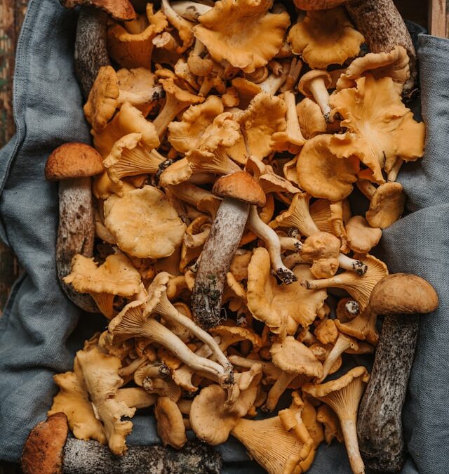 Log Culturing for Living Systems with Douglas Hallam & Matty Adams 