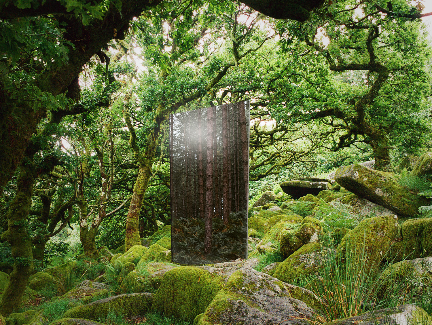 supernatural theme collage