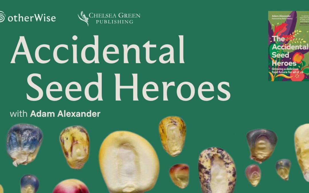 Accidental Seed Heroes with Adam Alexander