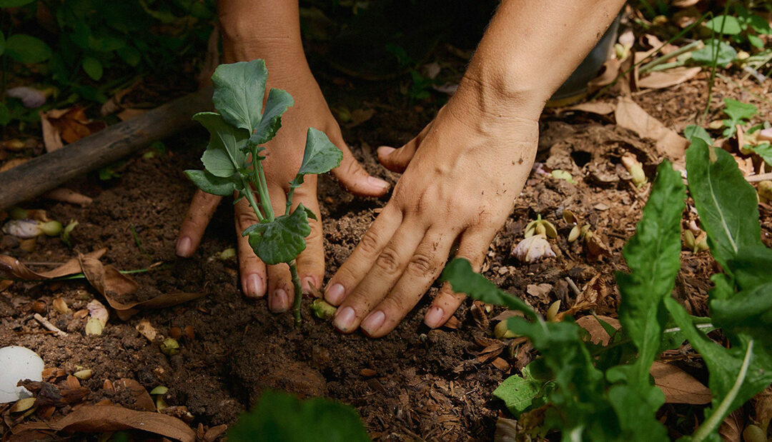 II reGrounding: Land as Site, Source, and Shaper