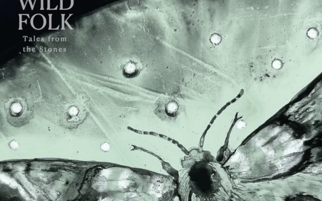 Wild Folk Spring Event with Jackie Morris and Tamsin Abbott