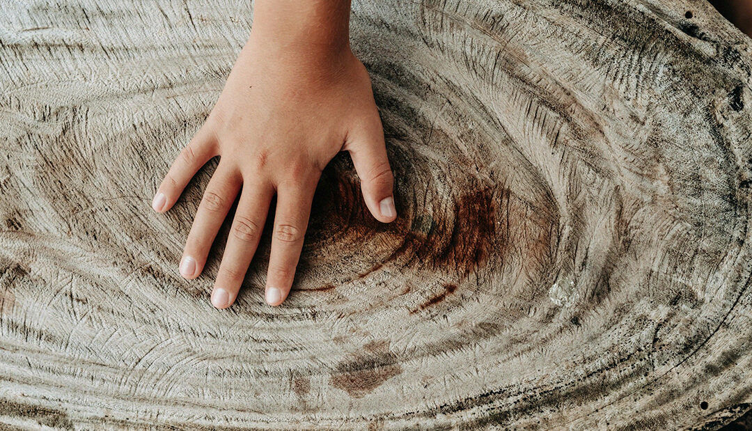 IV reTurning: Rearranged & Restoried