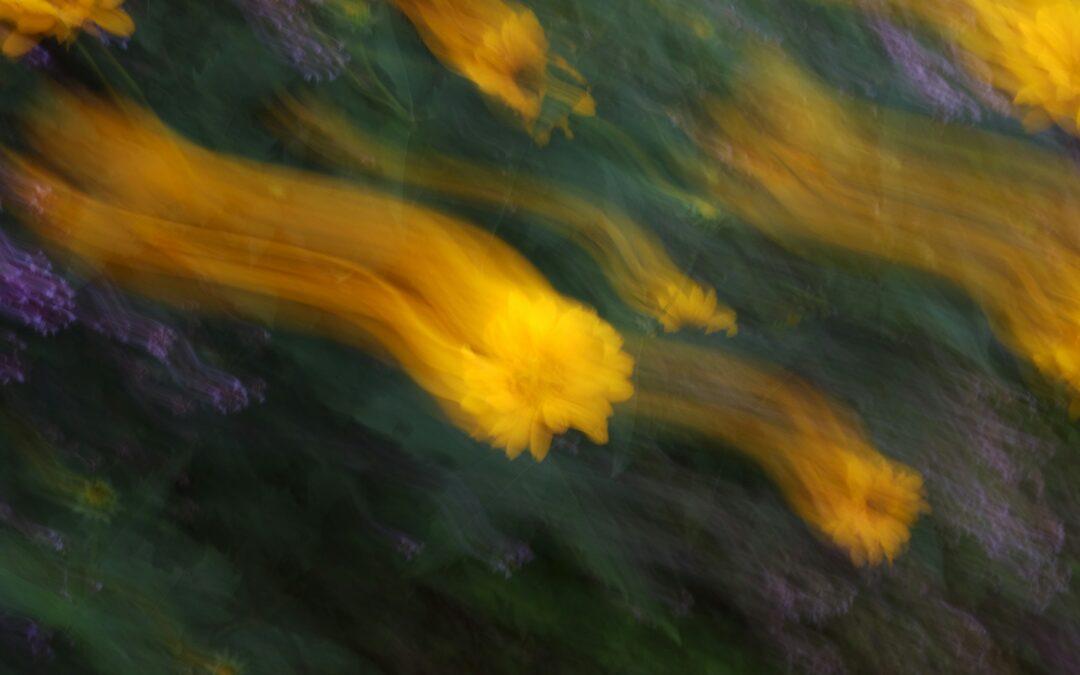 edgeWork: Roles for reWorlding with Lauren Zitney